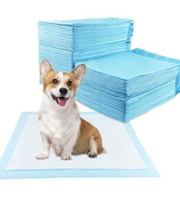 Baxcdyswe 100 Stück Inkontinenzunterlage Einweg, 60 × 60 cm Welpen Unterlagen, Inkontinenz Bettunterlage, Pinkelmatte Training Auslaufsicheres 5-Lagiges Design mit Schnell Trocknender Oberfläche